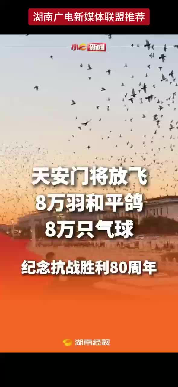 天安门将放飞 8万羽和平鸽 8万只气球