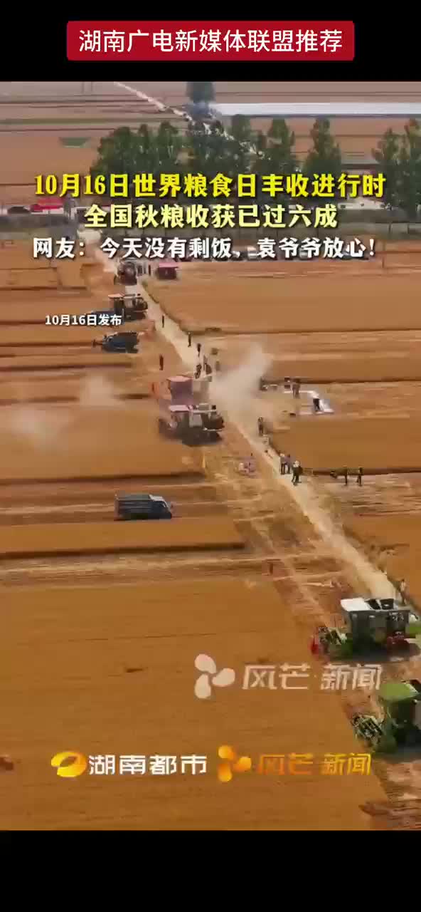 10月16日世界粮食日丰收进行时  全国秋粮收获已过六成