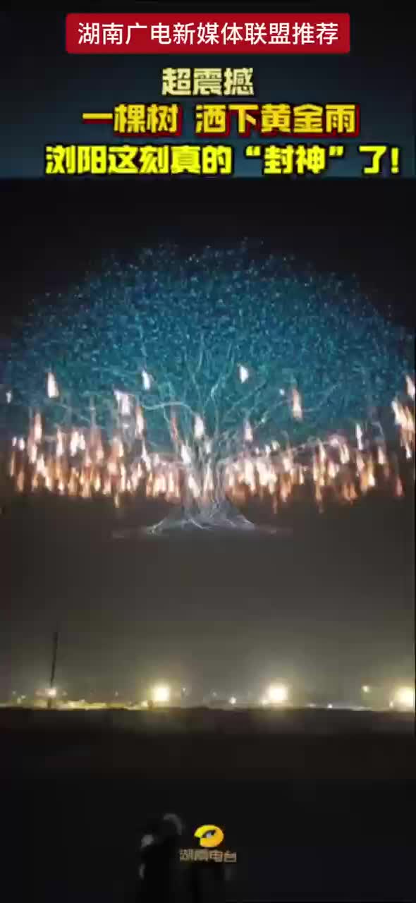 超震撼 一棵树 酒下黄金雨  浏阳这刻真的“封神”了!