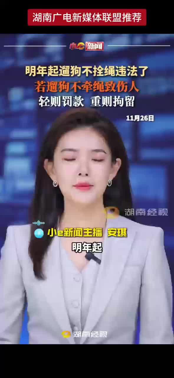 明年起遛狗不拴绳违法了！若遛狗不牵绳致伤人，轻则罚款，重则拘留！