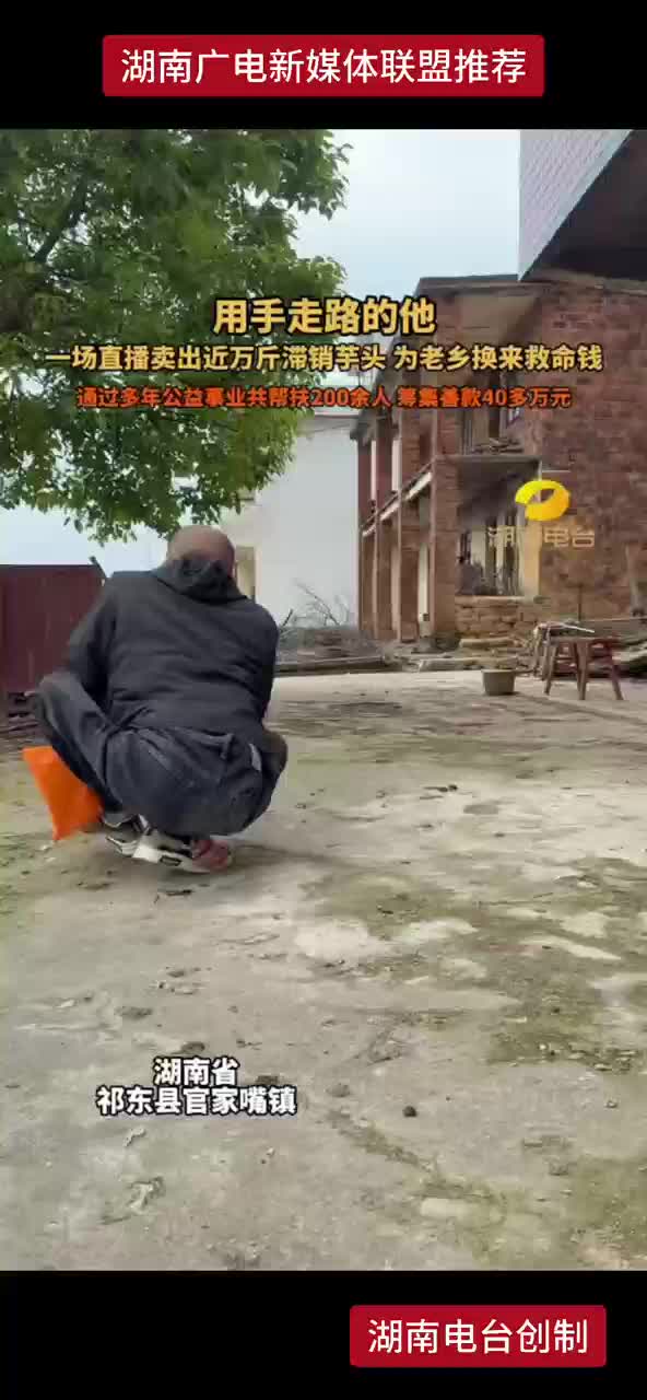 用手走路的他 一场直播卖出近万斤滞销芋头