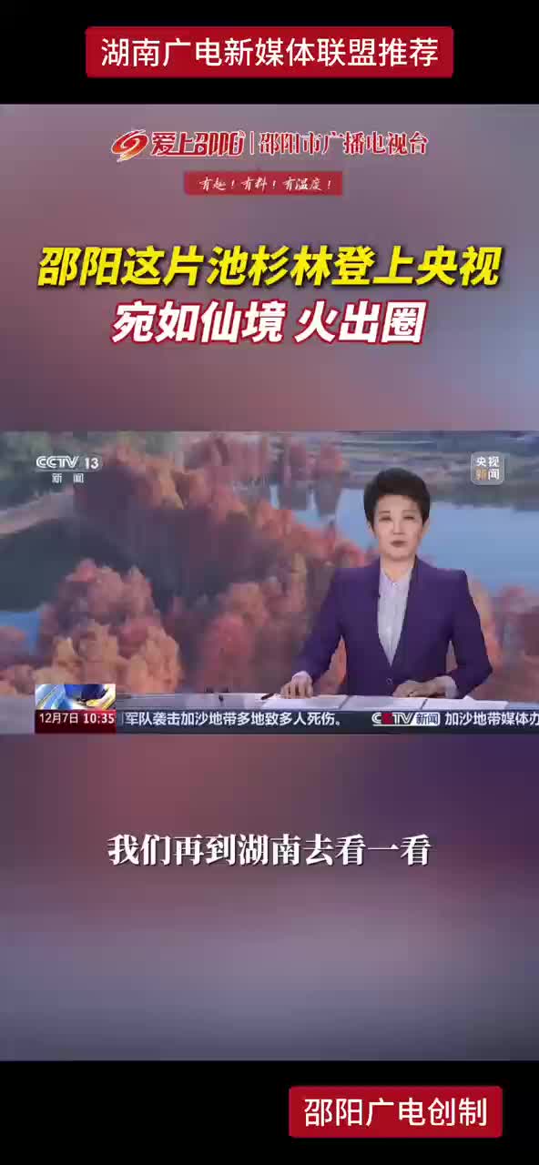 邵阳这片池杉林登上央视