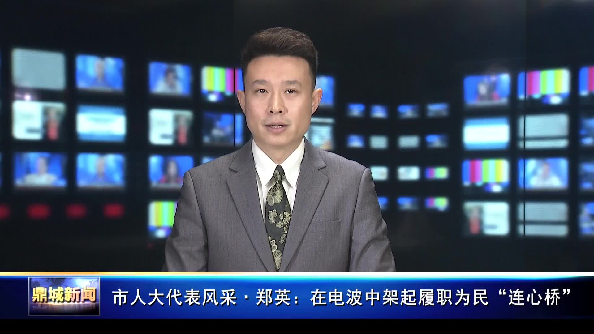 市人大代表风采·郑英：从直播间到民生一线 争做群众贴心“代言人”