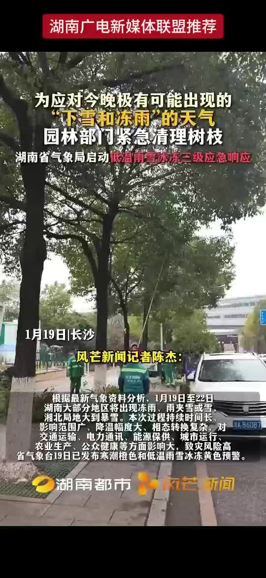 为应对今晚极有可能出现的“下雪和冻雨”的天气，园林部门紧急清理树枝