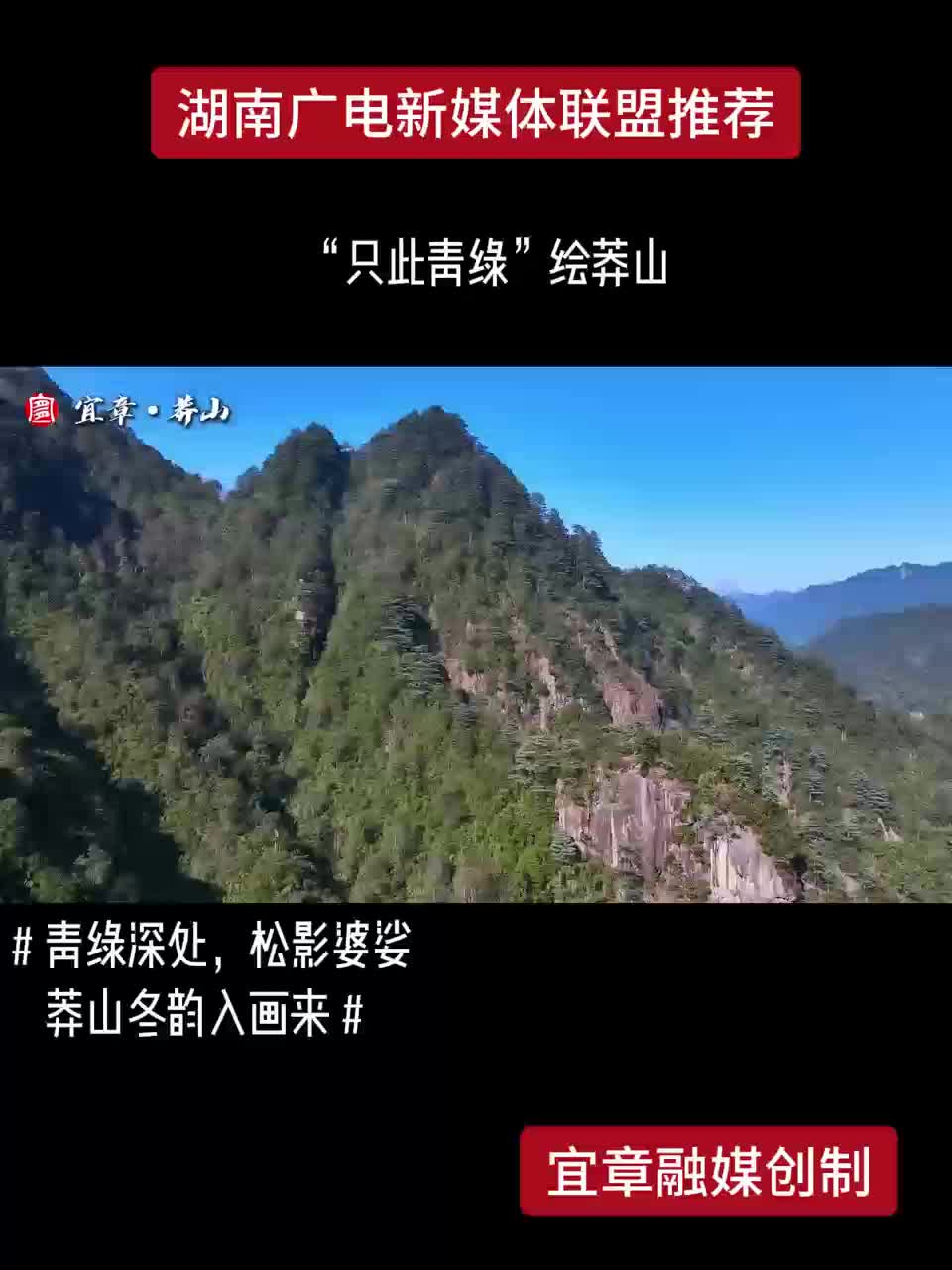 “只此青绿”绘莽山