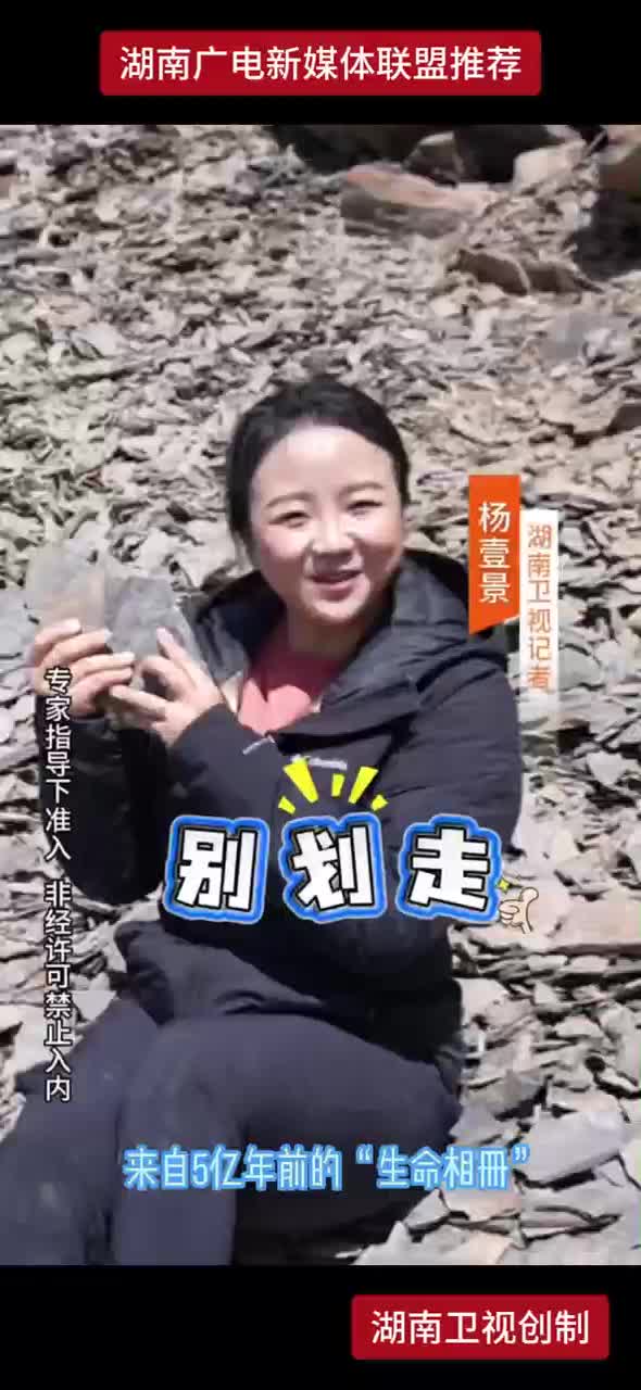 来自5亿年前的“生命相册”