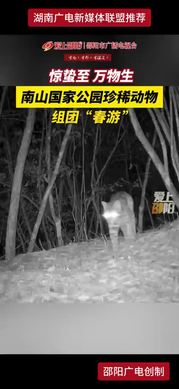 惊蛰至  万物生