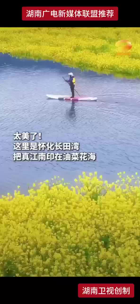 太美了！这里是怀化长田湾把真江南印在油菜花海