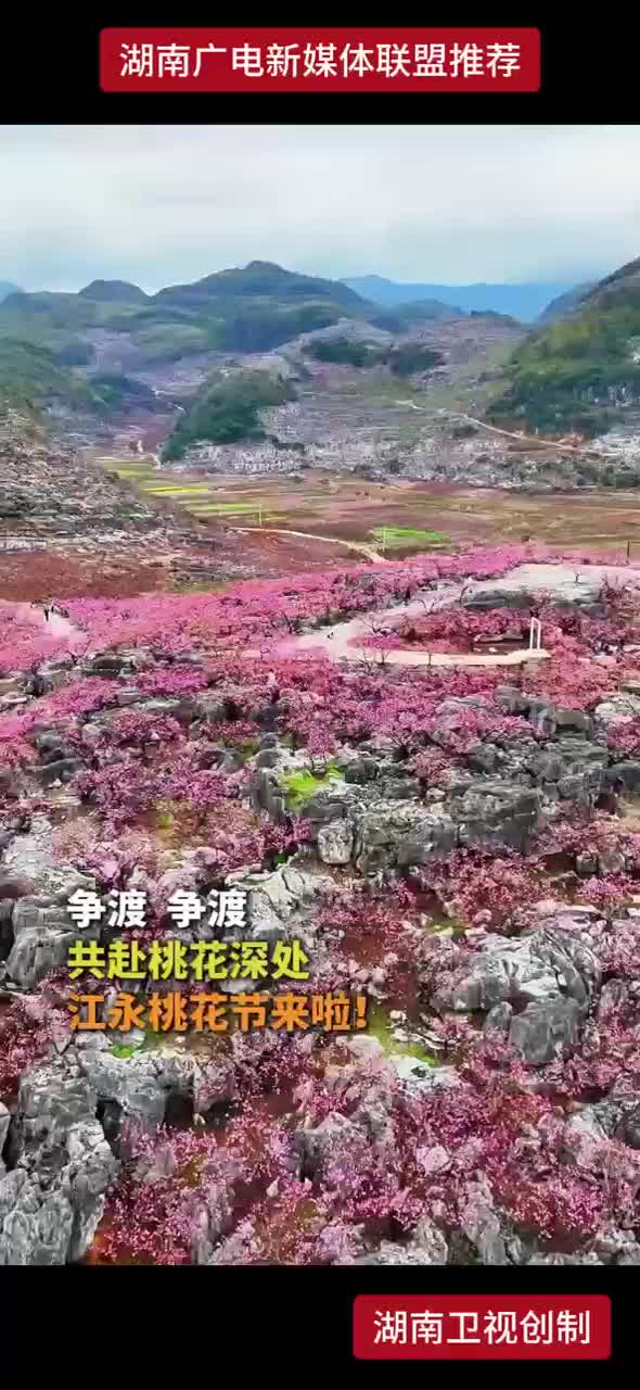 争渡  争渡共赴桃花深处江永桃花节来啦！