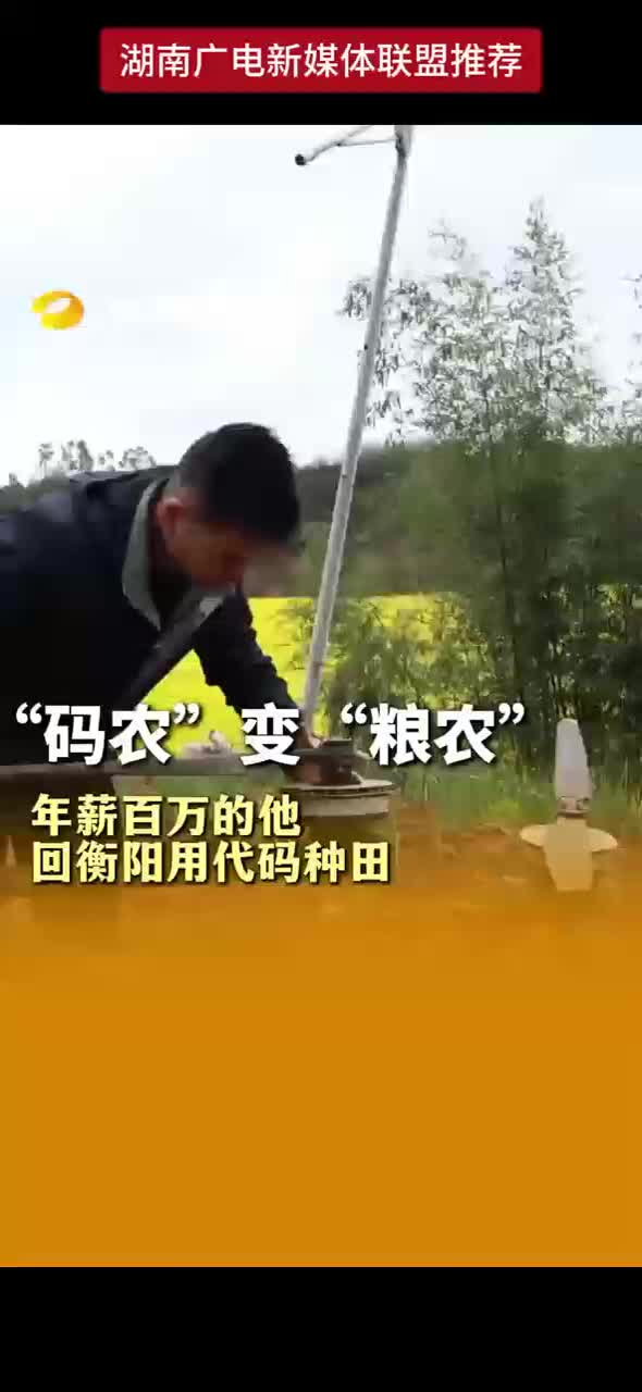 “码农”变“粮农”年薪百万的他回衡阳用代码种田