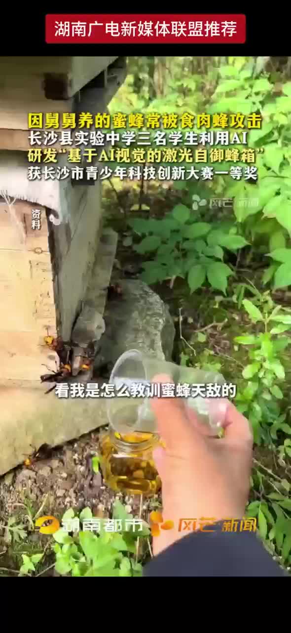 因舅舅养的蜜蜂常被食肉蜂攻击长沙县实验中学三名学生利用AI研发“基于AI视觉的激光自御蜂箱”获长沙市青少年科技创新大赛一等奖