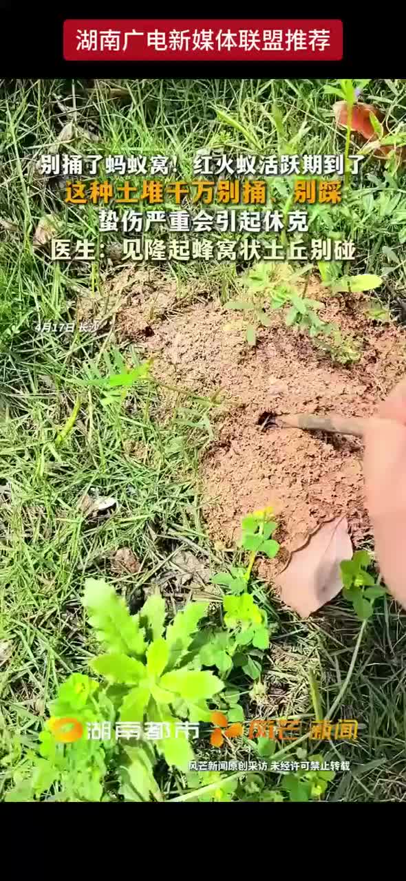 这种土堆千万别捅，别踩！