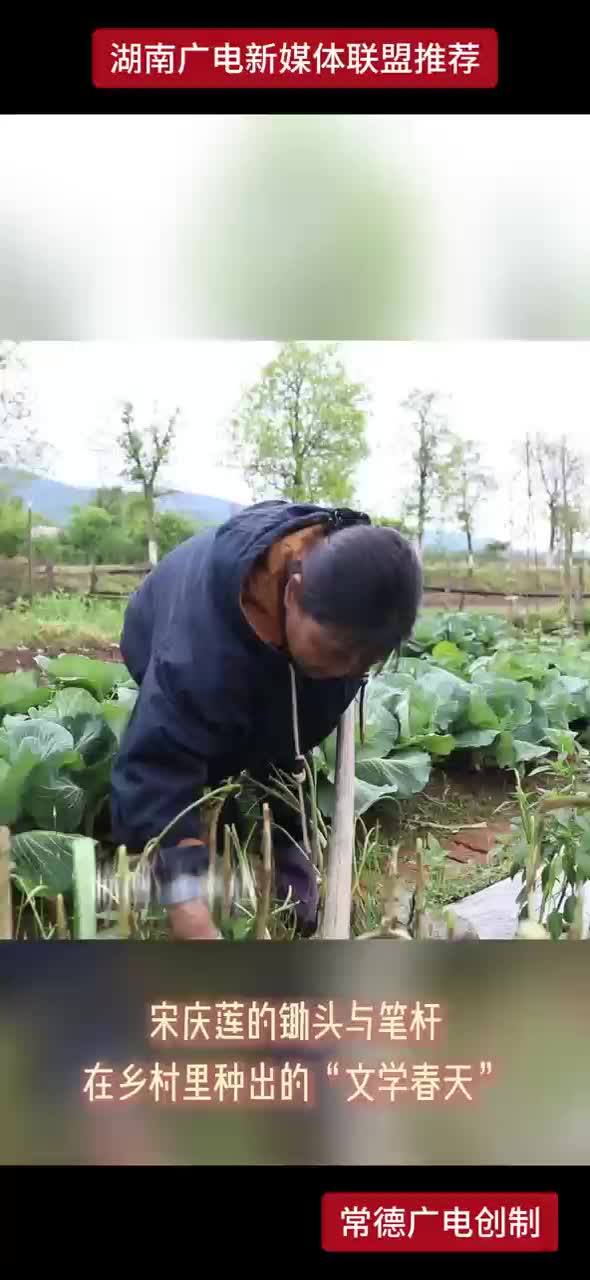 宋庆莲的锄头与笔杆，在乡村里种出的“文学春天”