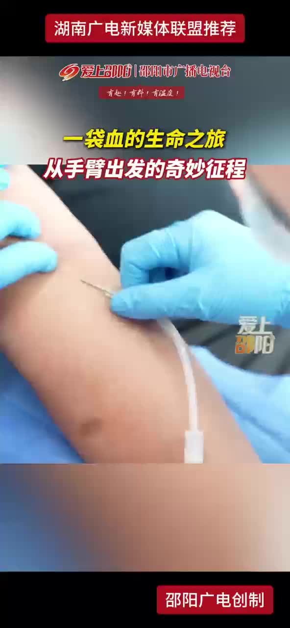 一袋血的生命之旅从手臂出发的奇妙征程