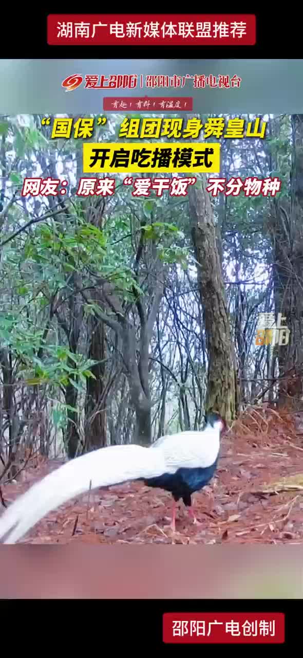 “国保”组团现身舜皇山