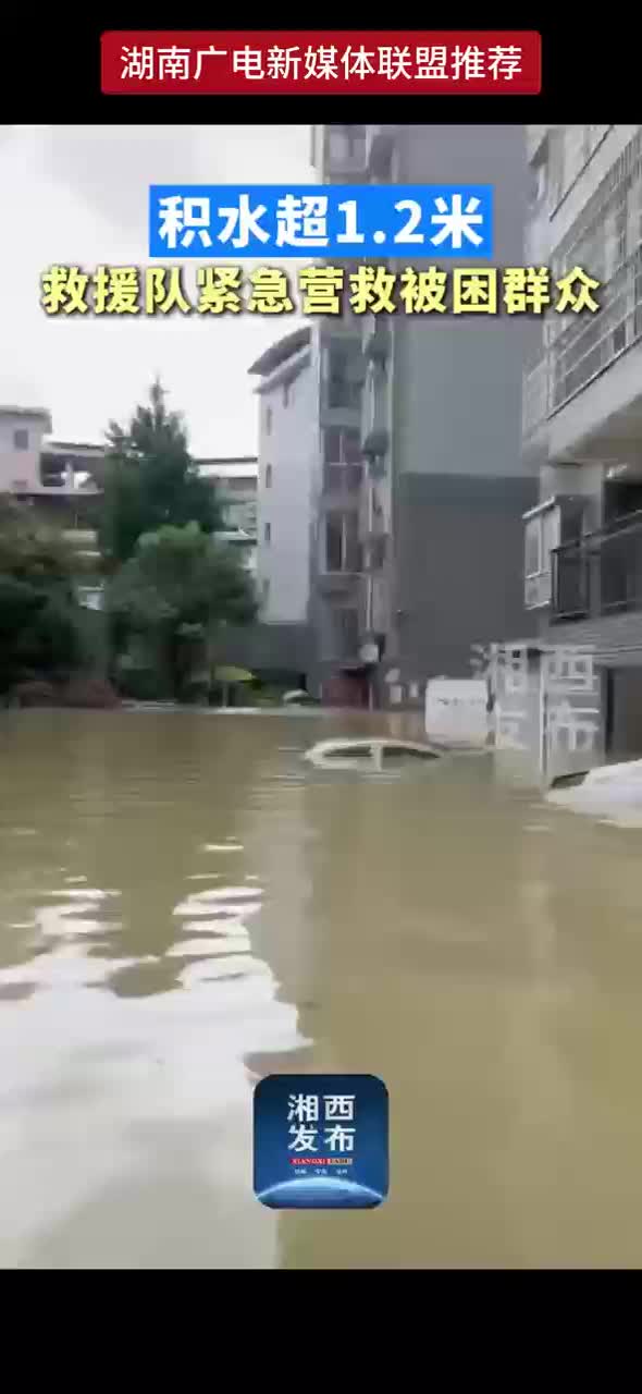 积水超1.2米救援队紧急营救被困群众