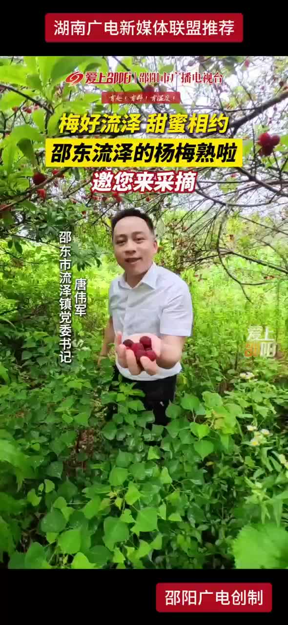 梅好流泽 甜蜜相约