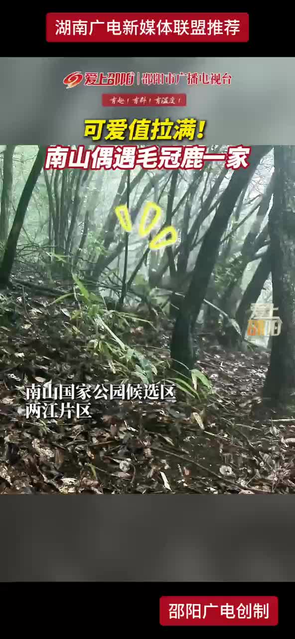 可爱值拉满！