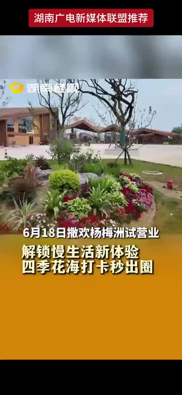 6月18日撒欢杨梅洲试营业解锁慢生活新体验