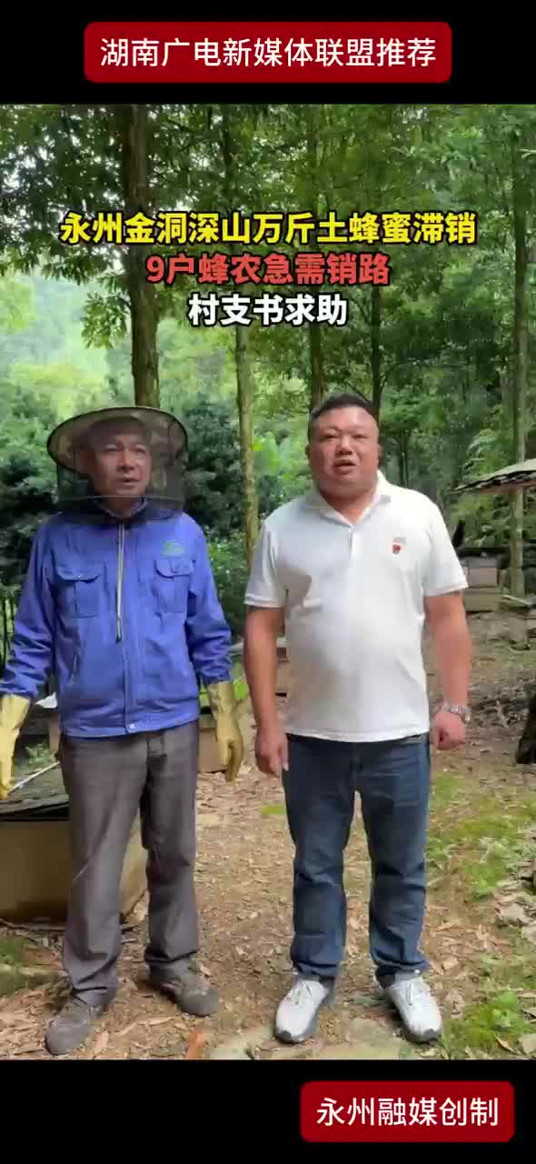 永州金洞深山万斤土蜂蜜滞销