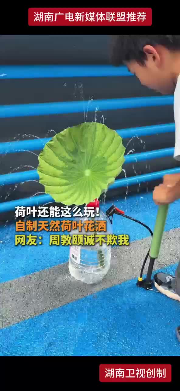 荷叶还能这么玩！