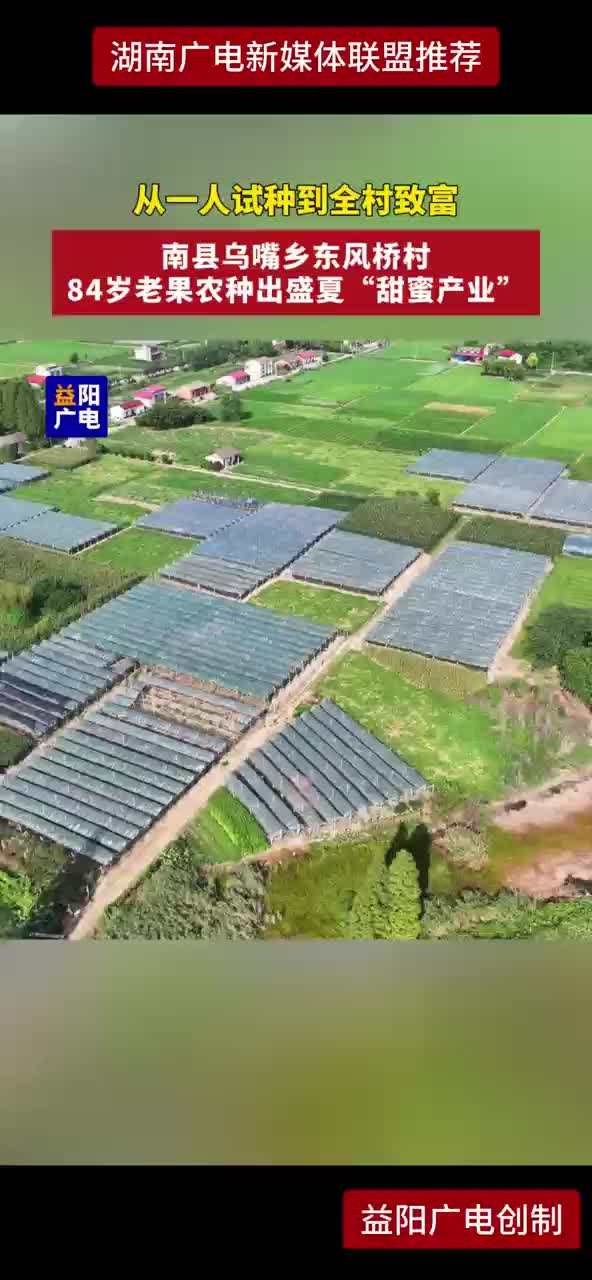 从一人试种到全村致富