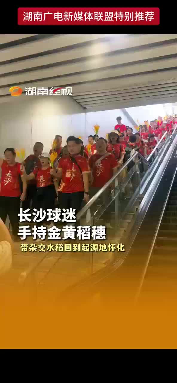 长沙球迷手持金黄稻穗