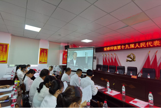 双桥坪镇召开第十九届人民代表大会第一次会议