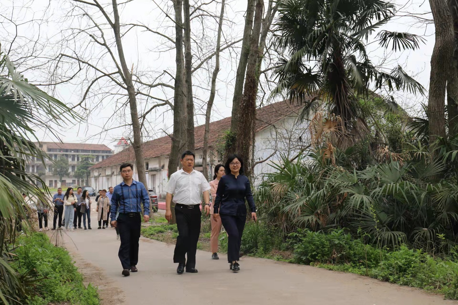 鸟儿洲国家湿地公园：开展专项债项目专家现场调研及评估