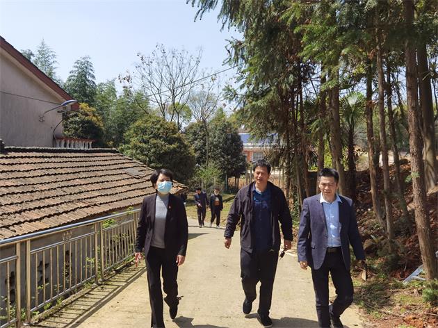 余习琼到花园村调研乡村振兴工作