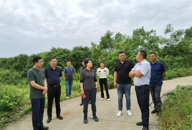 余习琼到许家桥回维乡调研乡村振兴工作