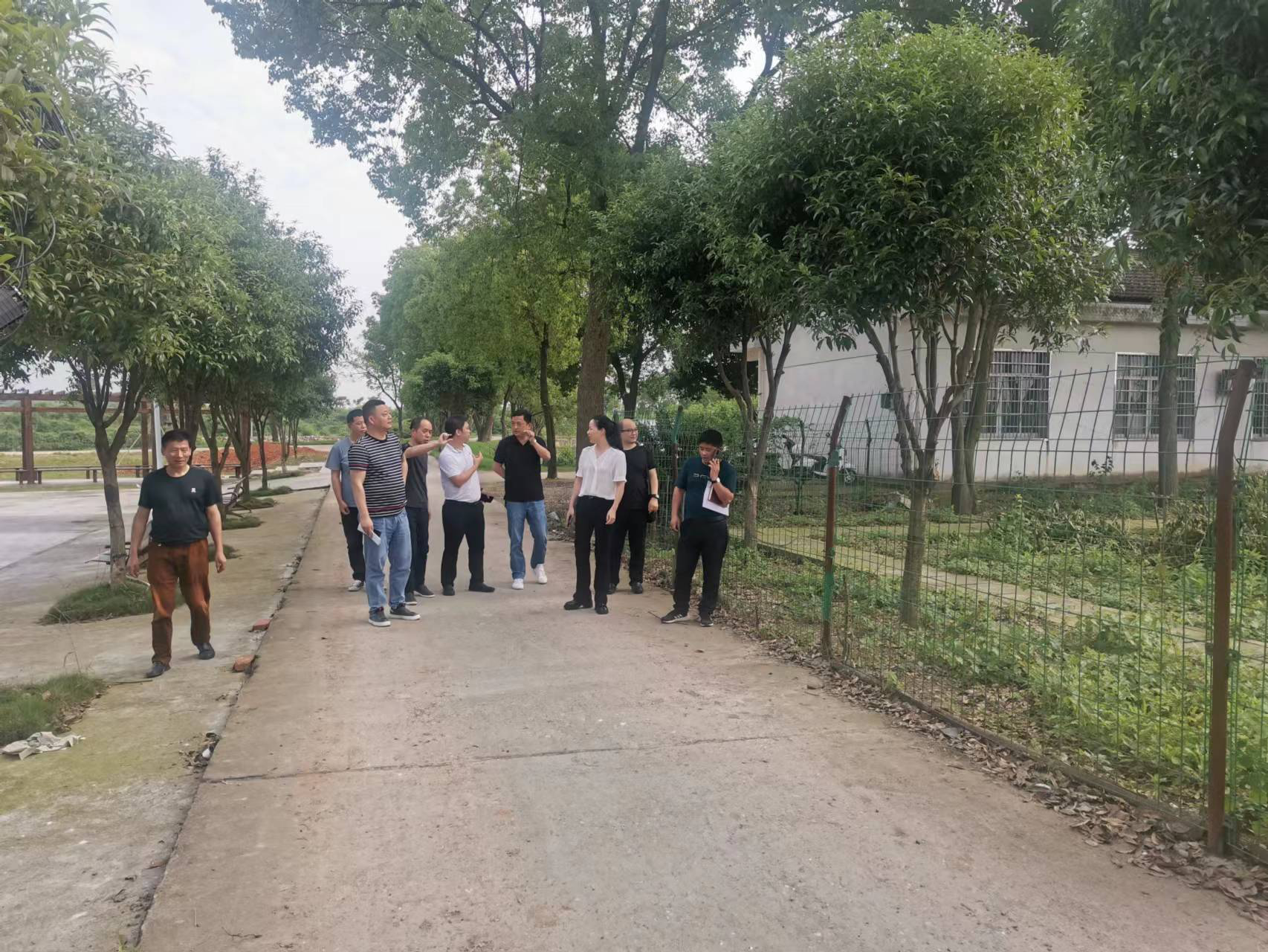 区领导调研蚕种场危房处置