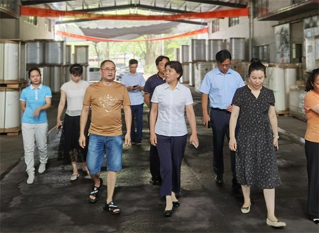 鼎城区人大常委会调研桥南工业园发展情况