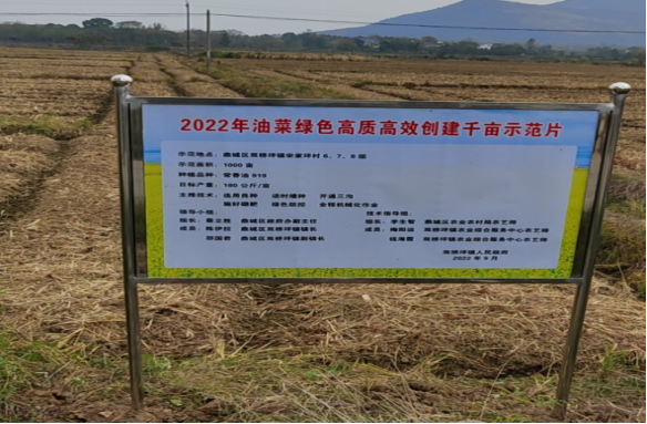 双桥坪镇：紧抓粮油安全 推进秋冬农业生产