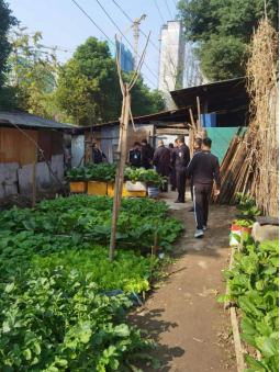 红云街道：开展退养联合执法行动