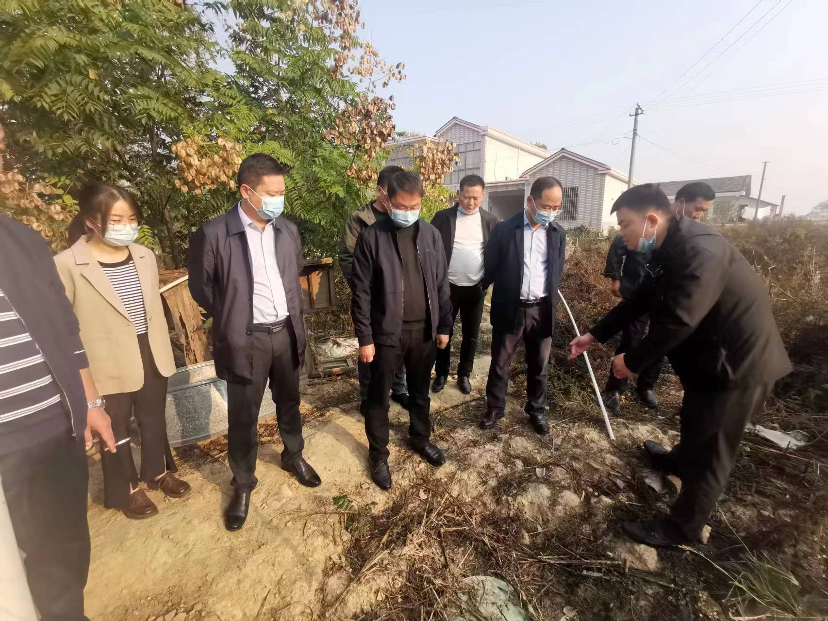 镇德桥镇开展文明创建暨人居环境整治流动现场会活动