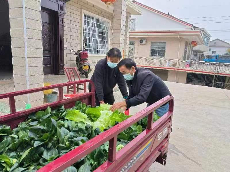 花岩溪镇：村民自发捐赠蔬菜助力抗疫
