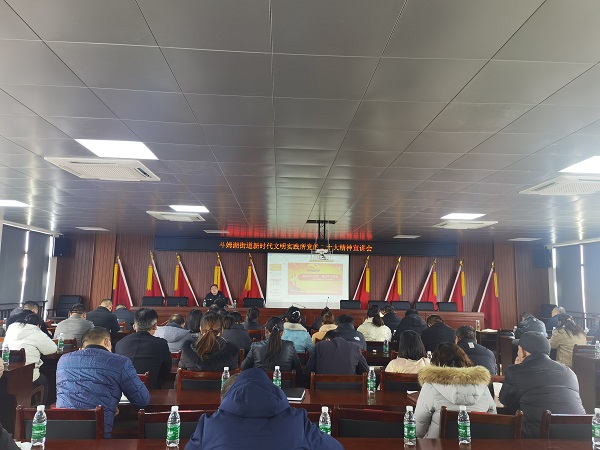 斗姆湖街道：学习贯彻党的二十大精神