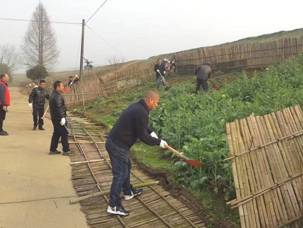 斗姆湖街道：清河净滩行动 共护水清河畅
