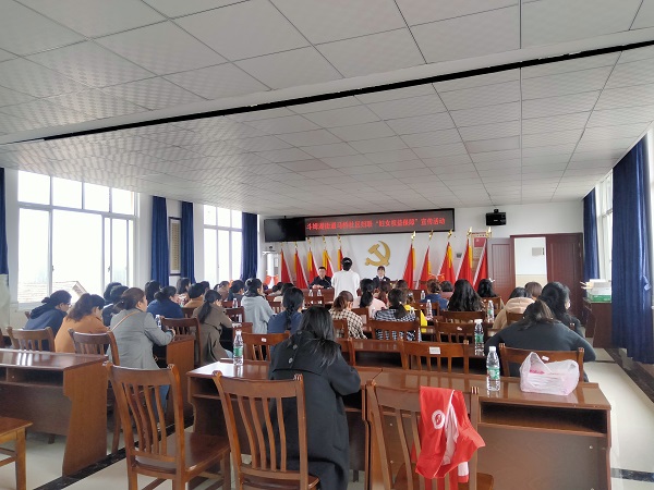 斗姆湖街道：法律进社区，服务到身边——“三八”维权周普法宣传活动