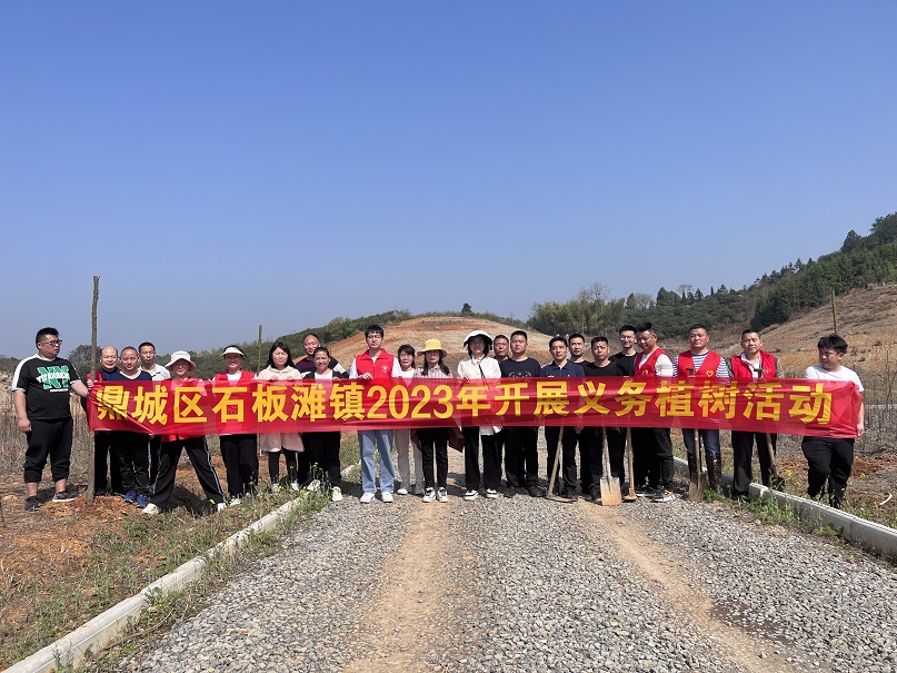 石板滩镇：种植绿色新生命，为春日增添新色彩