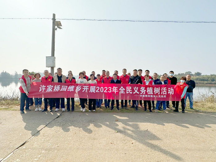 许家桥回维乡:春光无限好 植树正当时