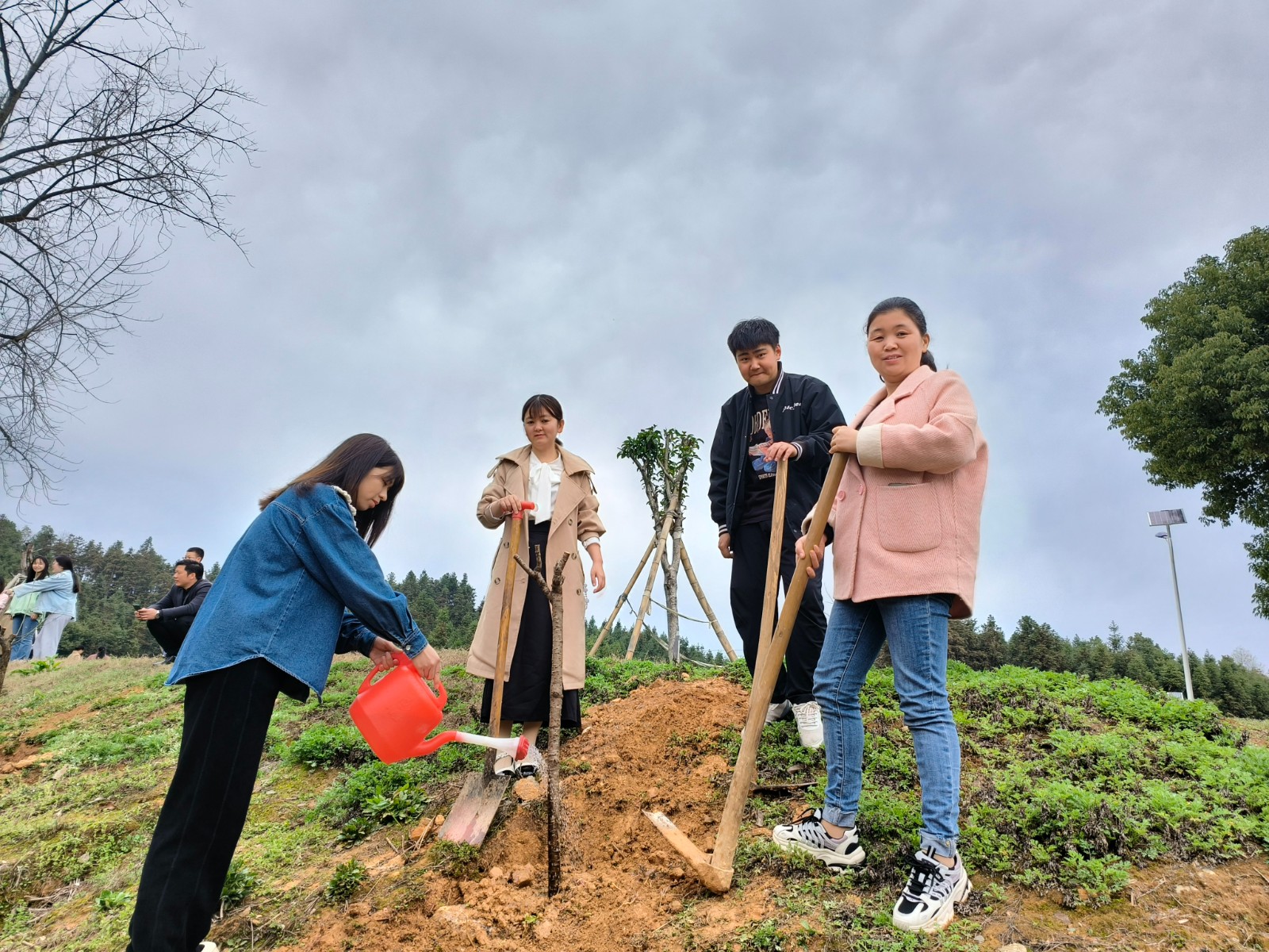 港二口中学：栽种绿植  成就最美——青年教师植树活动