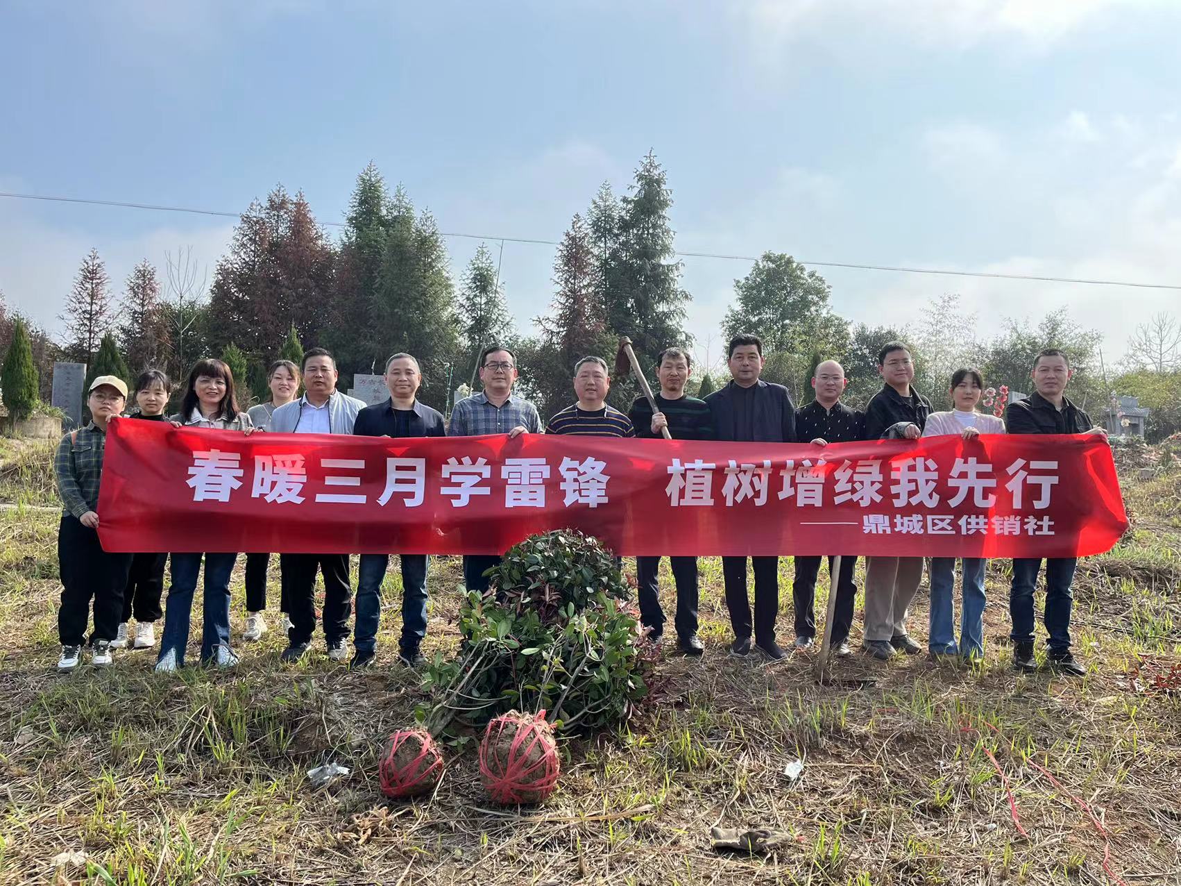 区供销社：植树增绿我先行