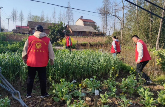 中河口镇：禁种铲毒，我们在行动