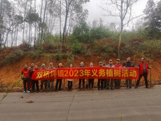 双桥坪镇：植树添新绿 种下新希望