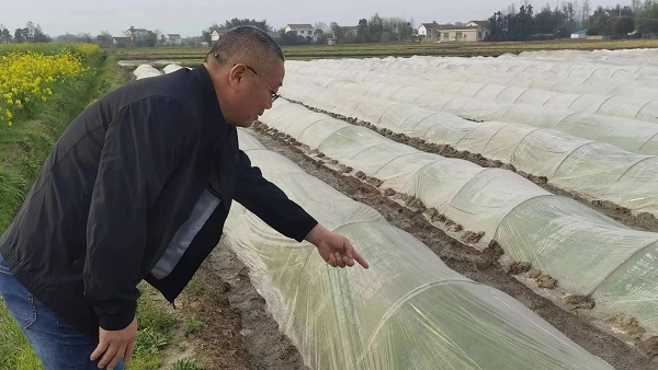 斗姆湖街道：春耕备耕正当时 党建引领添动力