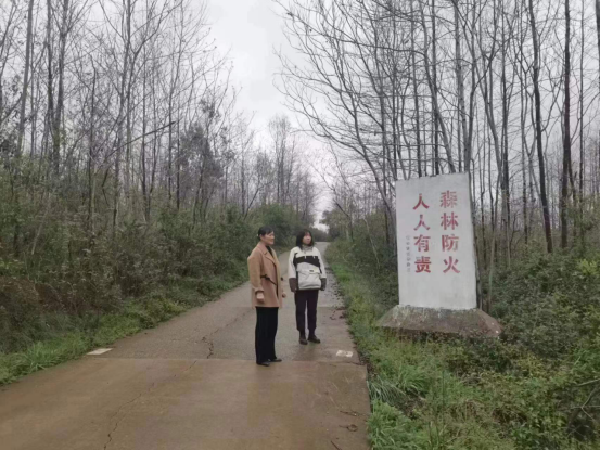 石公桥镇：林长制促“林长治” 筑牢清明期间森林防火墙
