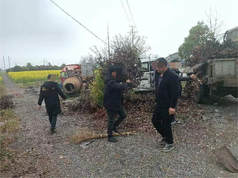 鼎城区司法局：助力美丽乡村建设，他们在行动