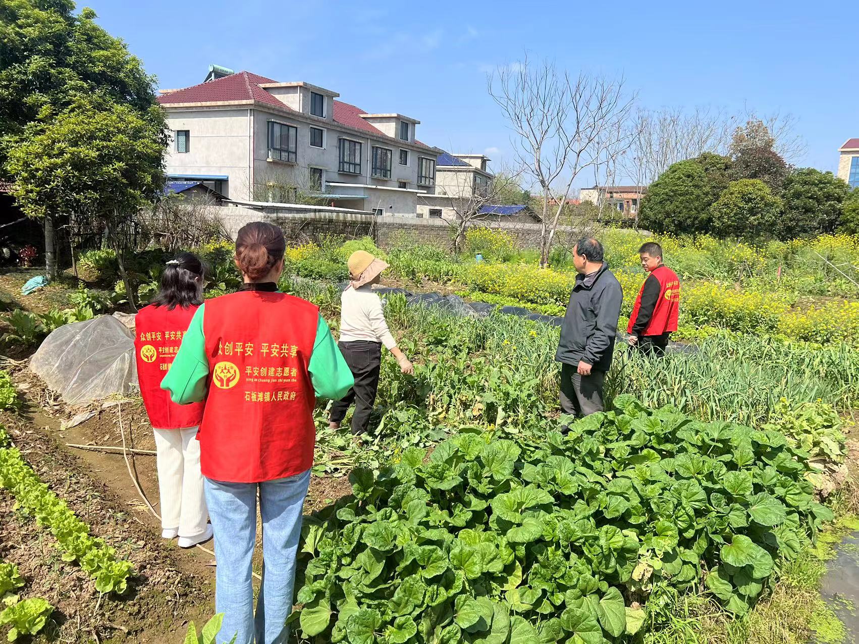 石板滩镇：开展禁种铲毒踏查、宣传活动